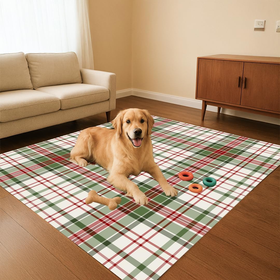 Muddy Carpet Plaid Washable Area Rugs for Living Room, Bedroom & Dining Room – Modern Soft Low Pile Non Slip Carpet – Pet Friendly Waterproof Foldable Rugs for Home