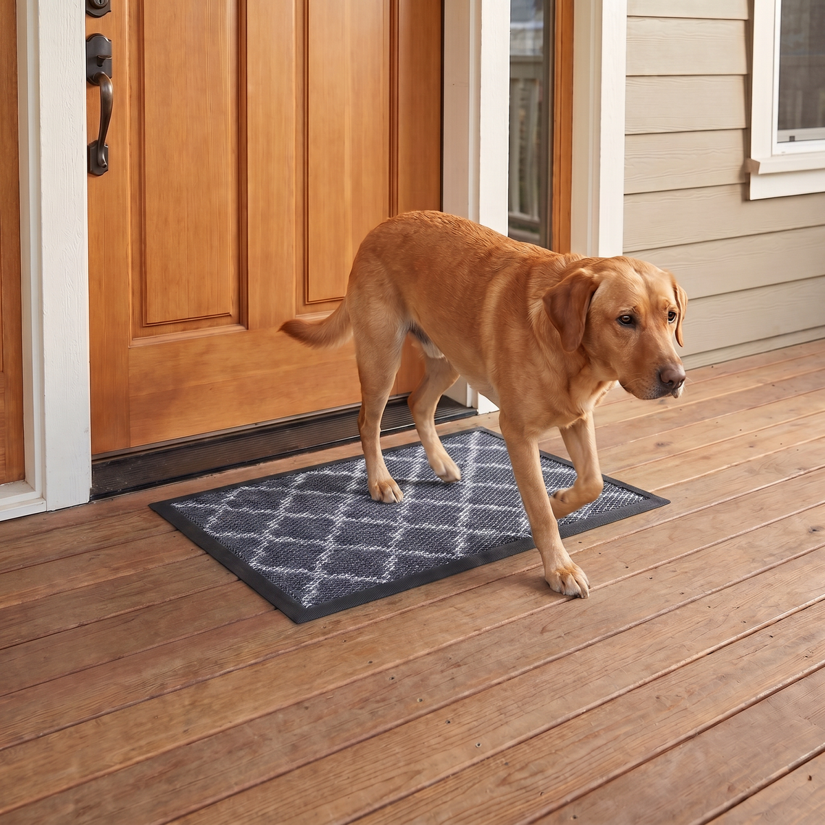 Muddymats® Printed Meshy Mat – The Best Dog Outdoor Mat for Muddy Paws